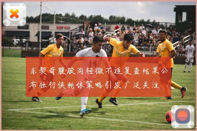 东契奇腹股沟轻微不适复查结果公布独行侠轮休策略引发广泛关注