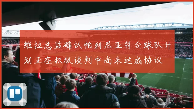 维拉总监确认帕利尼亚符合球队计划正在积极谈判中尚未达成协议